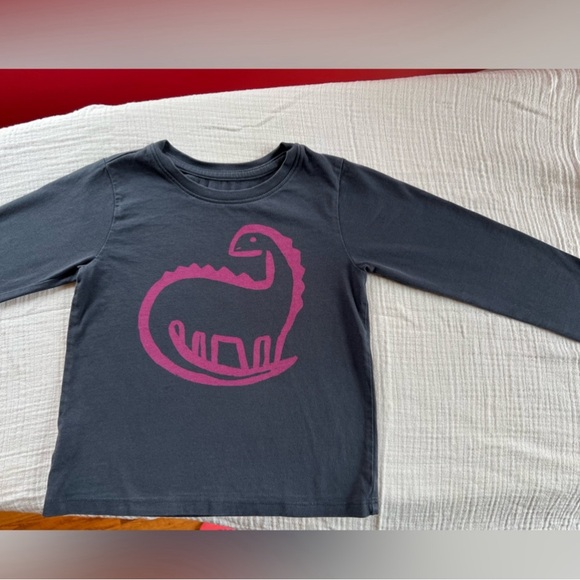 Tea Collection Other - Tea Collection long sleeve t-shirt, violet-blue, pink dinosaur print. Size 4t